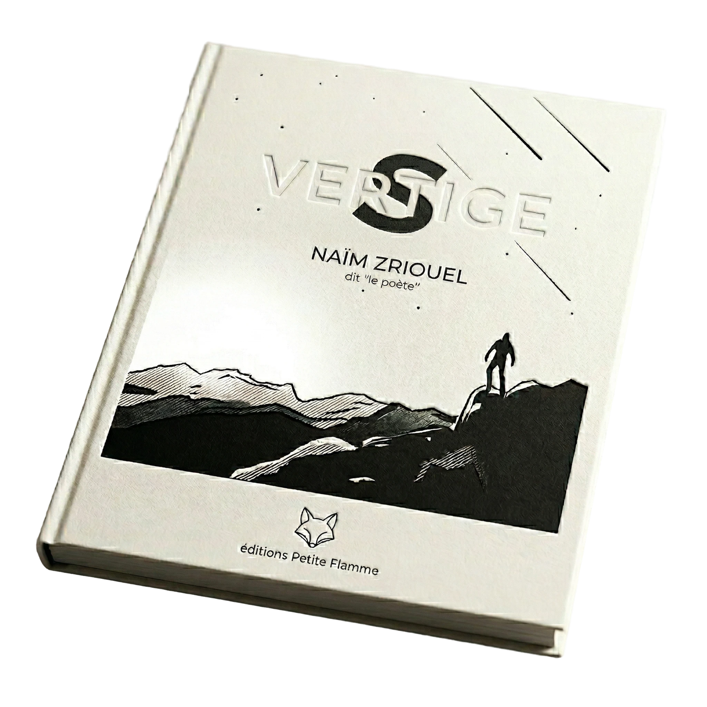 Le Livre-Album Vertige/Vestige — Naïm Zriouel