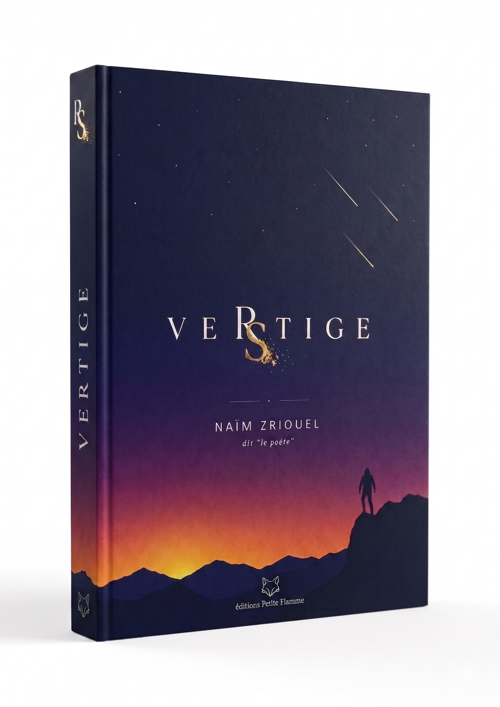 Le Livre-Album Vertige/Vestige — Naïm Zriouel